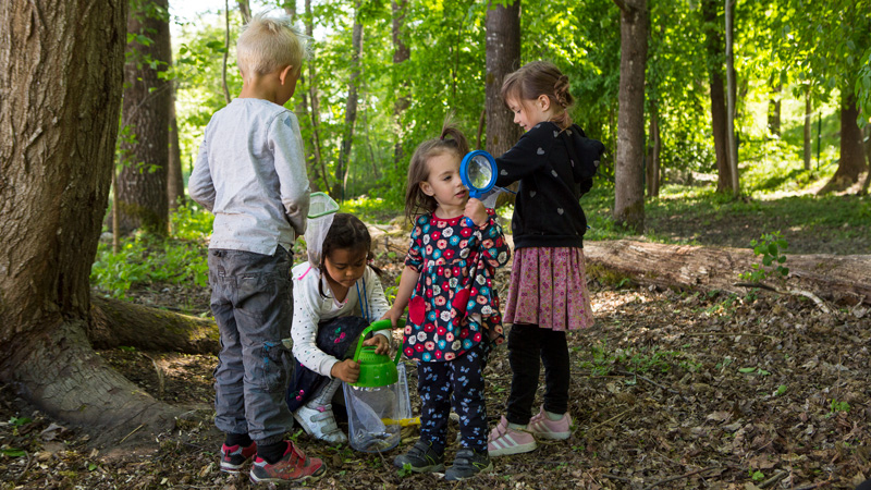 Barn i skogen.